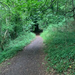 Climate and family: tough calculations