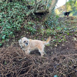 New year, new discoveries