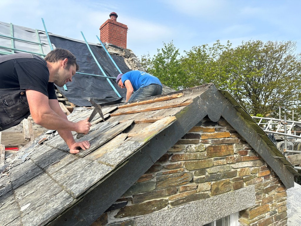 Roofers carefully removing rag slates to allow observation of bats beneath.