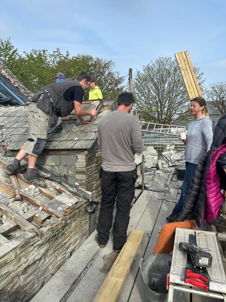 Roof works being observed by a bat conservation specialist